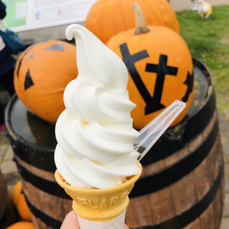 ソフトクリーム  (高橋牧場　ニセコミルク工房)