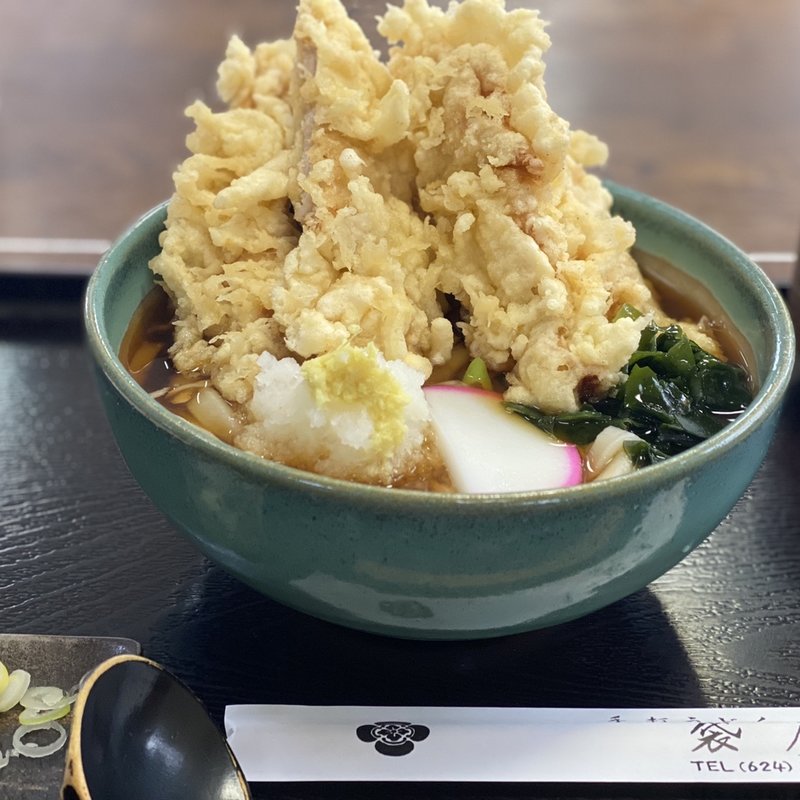 とり天うどん(少なめ)(温)(袋屋)