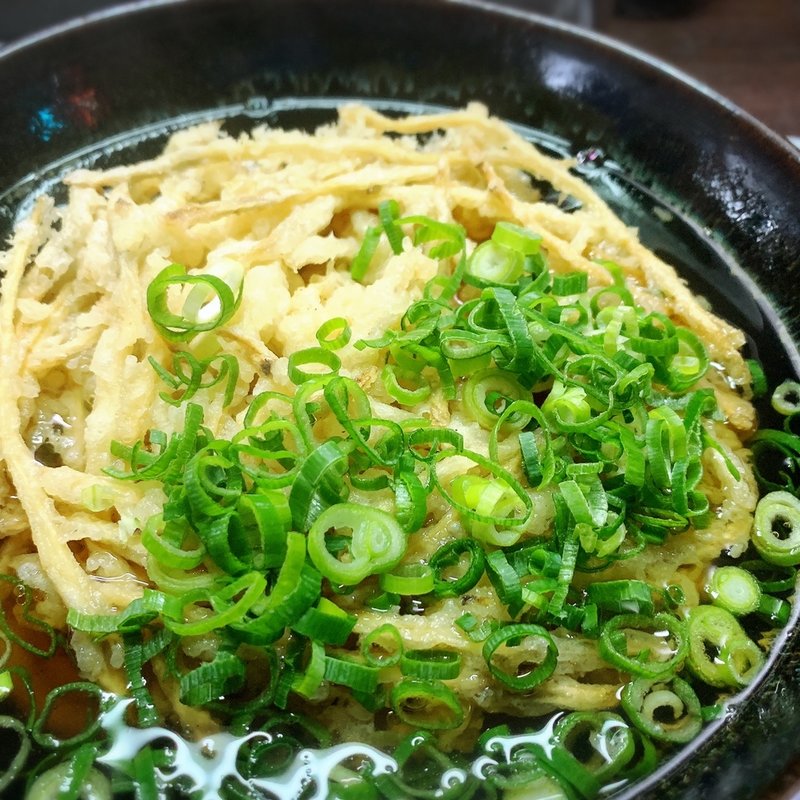 ごぼう天うどん(薬師うどん店)