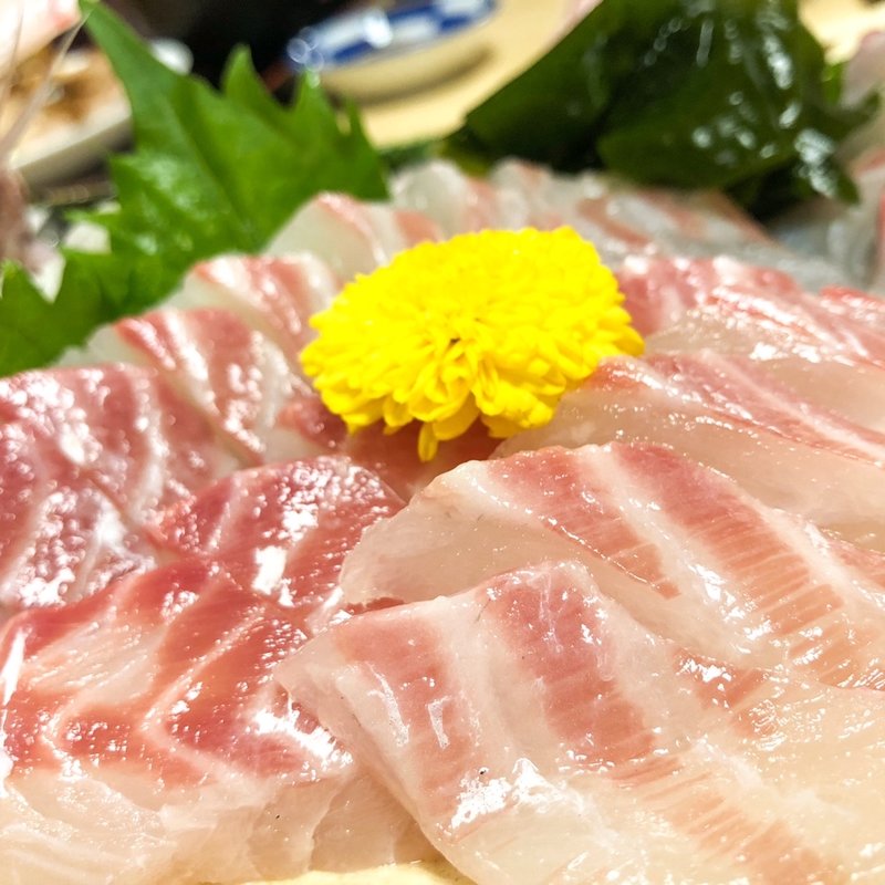 (音の花温泉 音の花亭 )