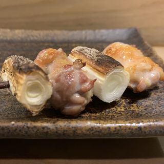 シャモロックゴンボ(中野 鳥聖)