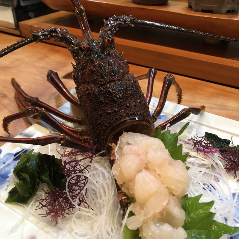 伊勢海老刺し(和処 志ほ （わどころ しほ）)