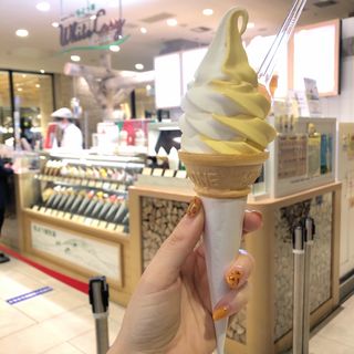 バニラ×北海道かぼちゃソフトクリーム(ミルク＆パフェ　よつ葉ホワイトコージ)