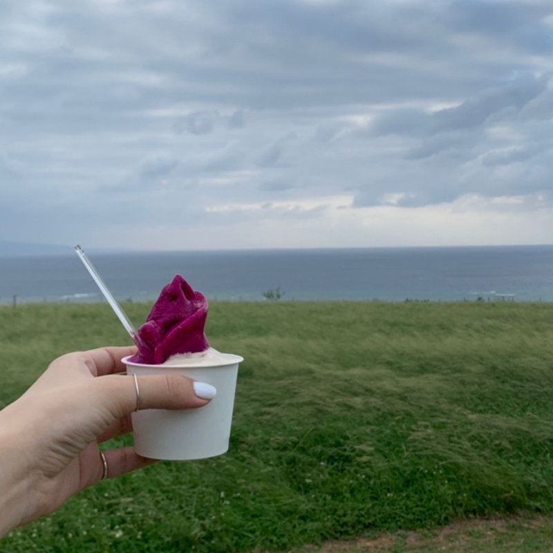 ジェラート(島バナナ、ミルク、紅芋など)(ミルミル本舗 本店)