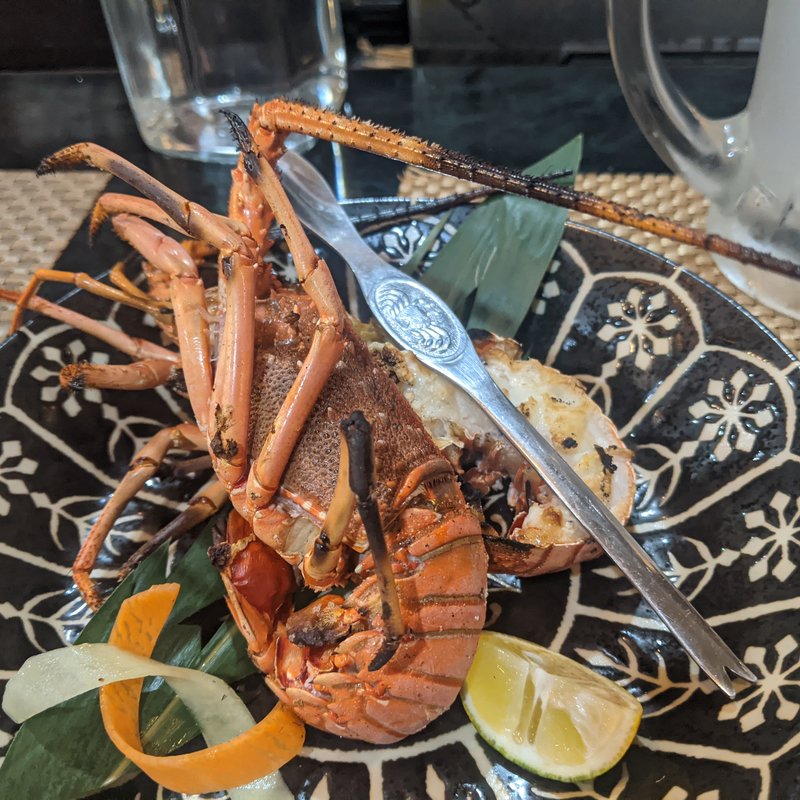 伊勢海老(ささめ)