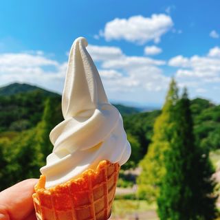 カマンベールチーズ入りソフトクリーム(六甲山牧場ミルクカフェ)