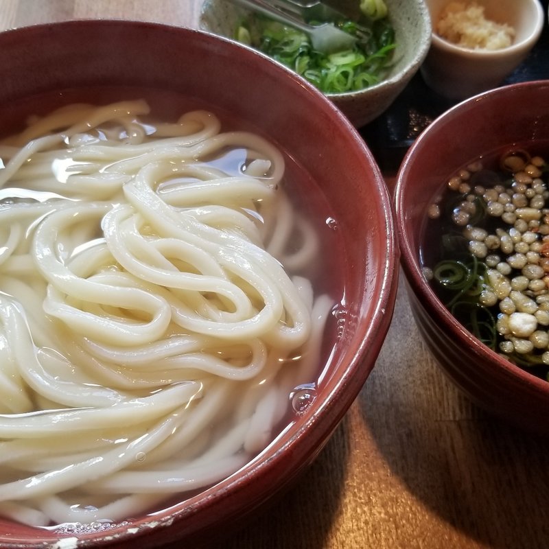 釜あげうどん(釜揚げうどん専門店 もと)