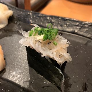 白魚(TAIZUSHI （タイズシ 【旧店名】すしの利行）)