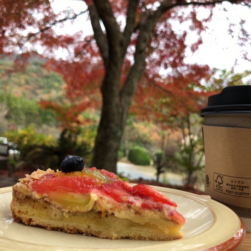 フルーツタルト(cafe soto （カフェ ソト【旧店名】Soto dining）)