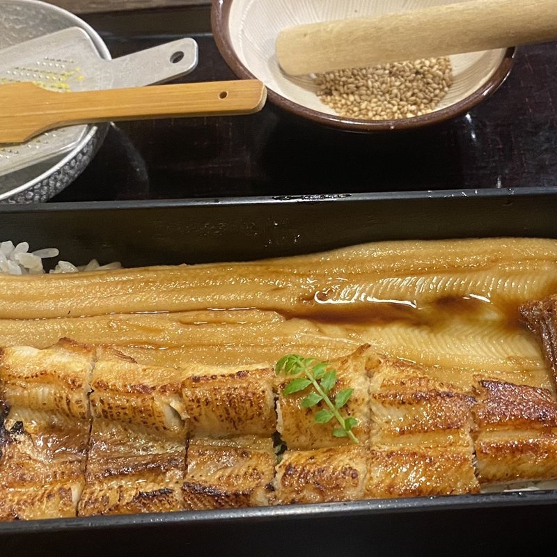 穴子箱めし(あなご屋 銀座 ひらい)