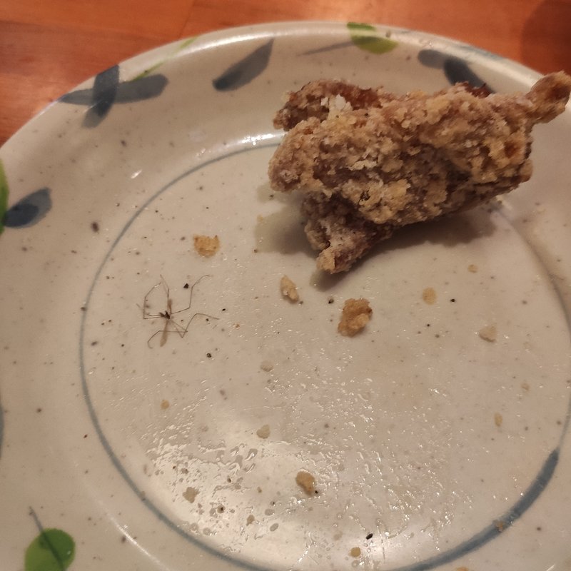 塩ラーメン唐揚げセット(竜王塩元帥 )