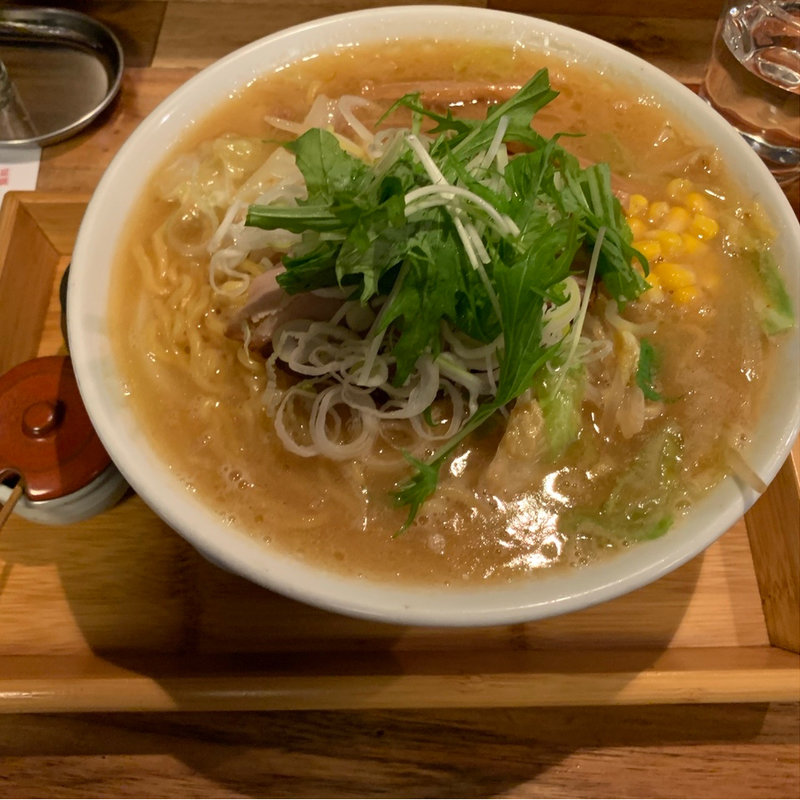 味噌仕立て鶏そば(麺や 一帆)