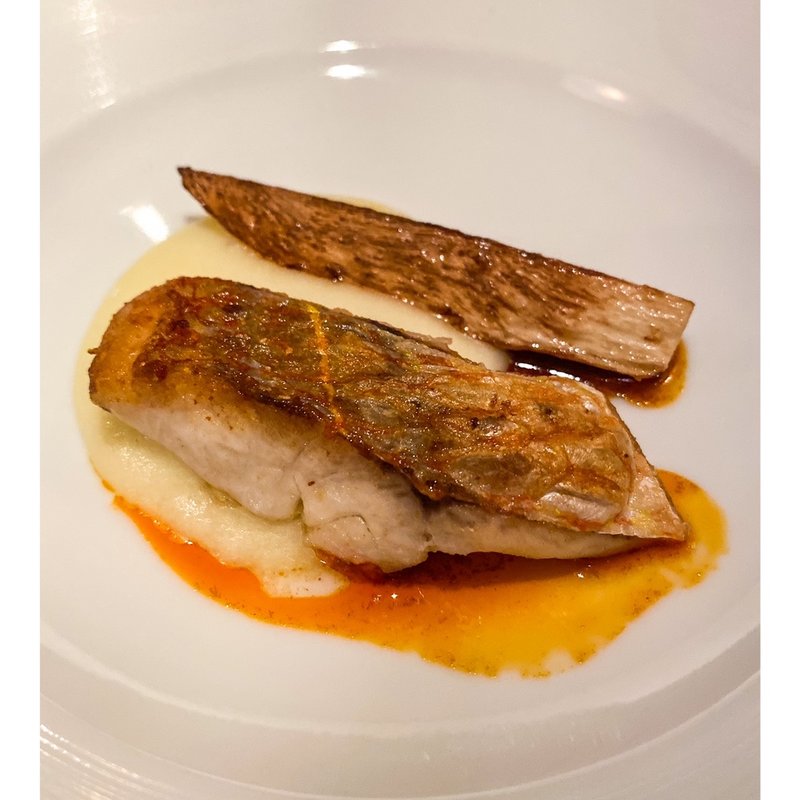 イトヨリとマコモダケ(アロセリア ラ パンサ)