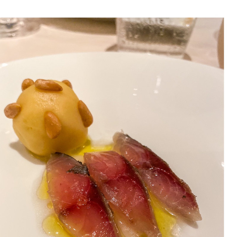 (アロセリア ラ パンサ)