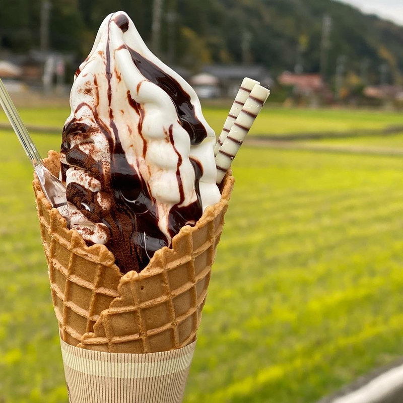 チョコ(あさむらいちご園 )