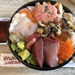 あなたにおまかせ丼中型(おさしみ天国・小田原海鮮ゴーゴー)