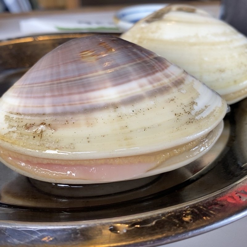 蛤(浜茶屋網元 )