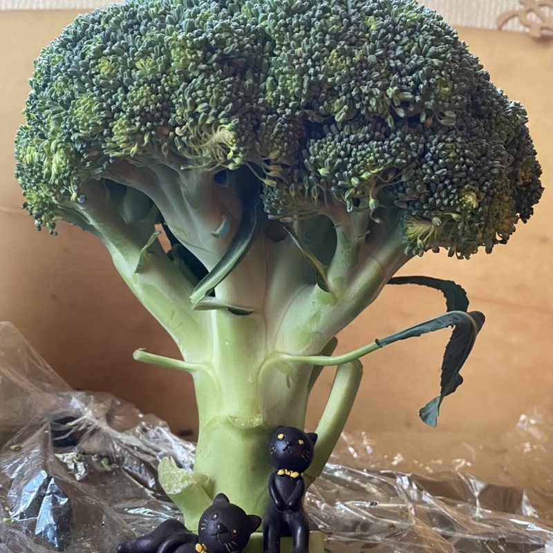 ブロッコリーサラダ(自宅)