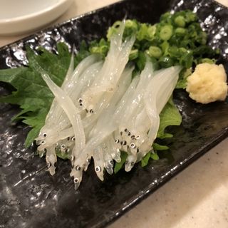 白魚(築地 すし好 下北沢店 )