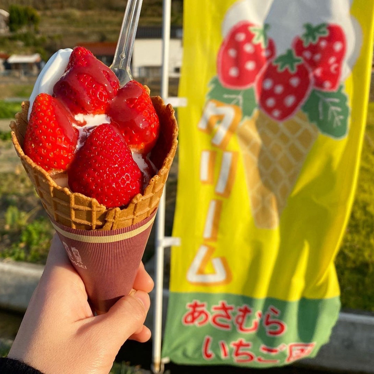 ストロベリー(あさむらいちご園 )の口コミ一覧 | No.1のメニューが