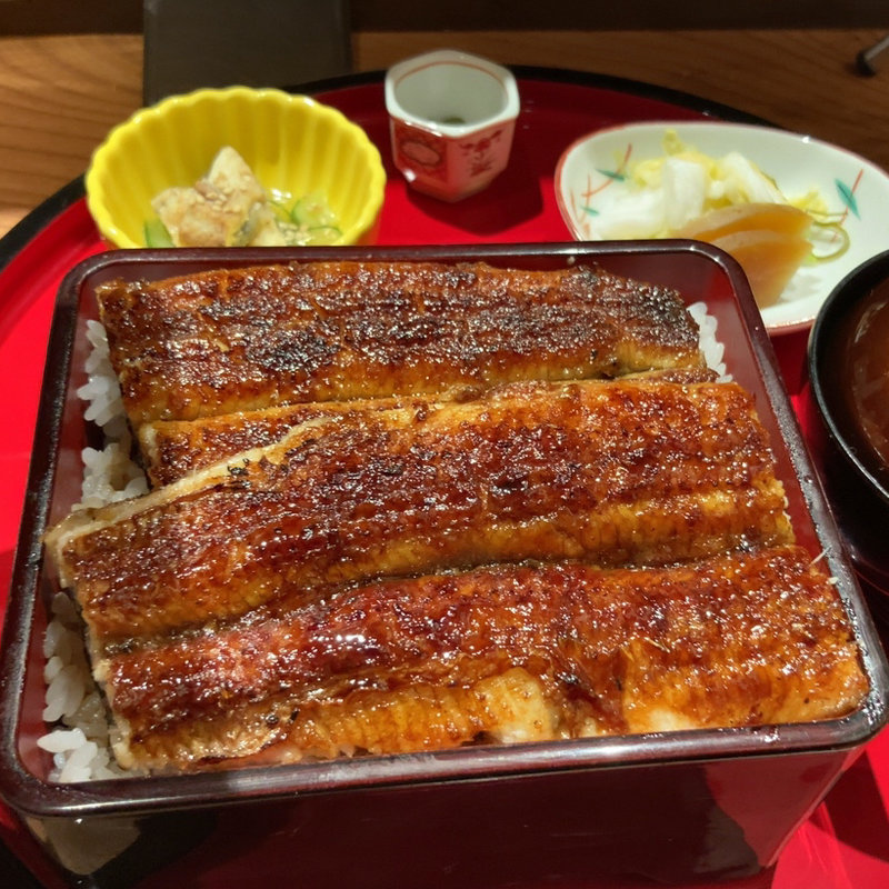 上うな重 大盛り(うな富士 有楽町店)