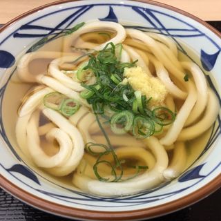 かけうどん(丸亀製麺 あまがさきキューズモール店 （マルガメセイメン）)
