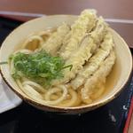 ごぼう天うどん