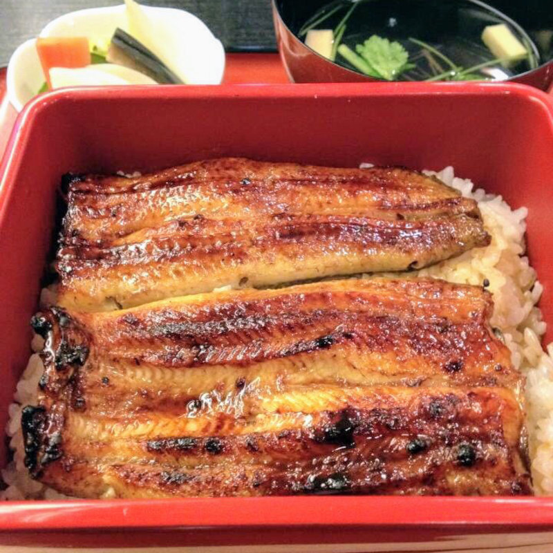 生蒸し鰻重(芳野屋)