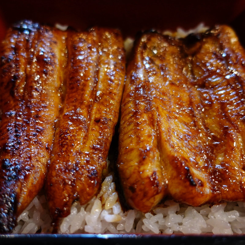 うな重　特上(川八 )