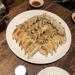 大皿焼き餃子(餃子の福包 中目黒店)