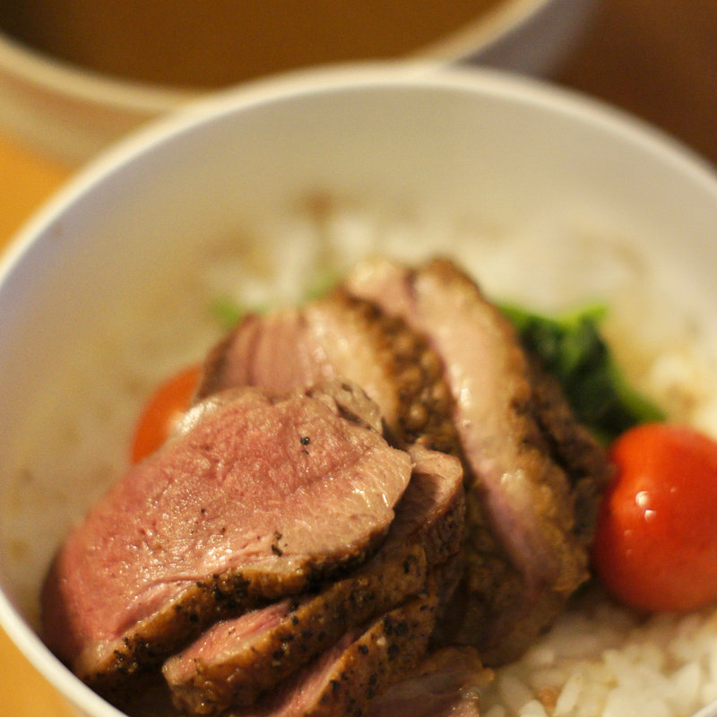 和だしスープカレー(鴨ロース煮)(てるなり)