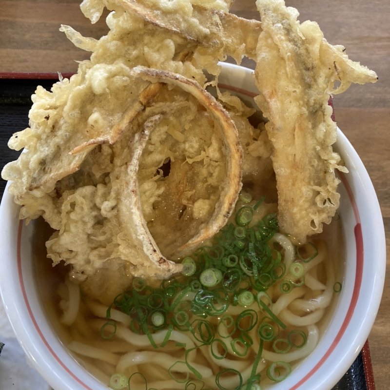 ごぼ天うどん(麺屋一期)