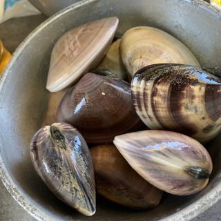 焼き蛤 中玉 1kg 焼蛤 浜茶屋 向島 やきはまぐり はまぢゃや むこうじま の口コミ一覧 おいしい一皿が集まるグルメコミュニティサービス Sarah