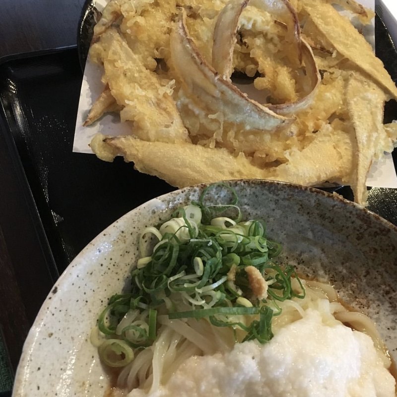 ごぼ天うどん(大地のうどん　福津店)