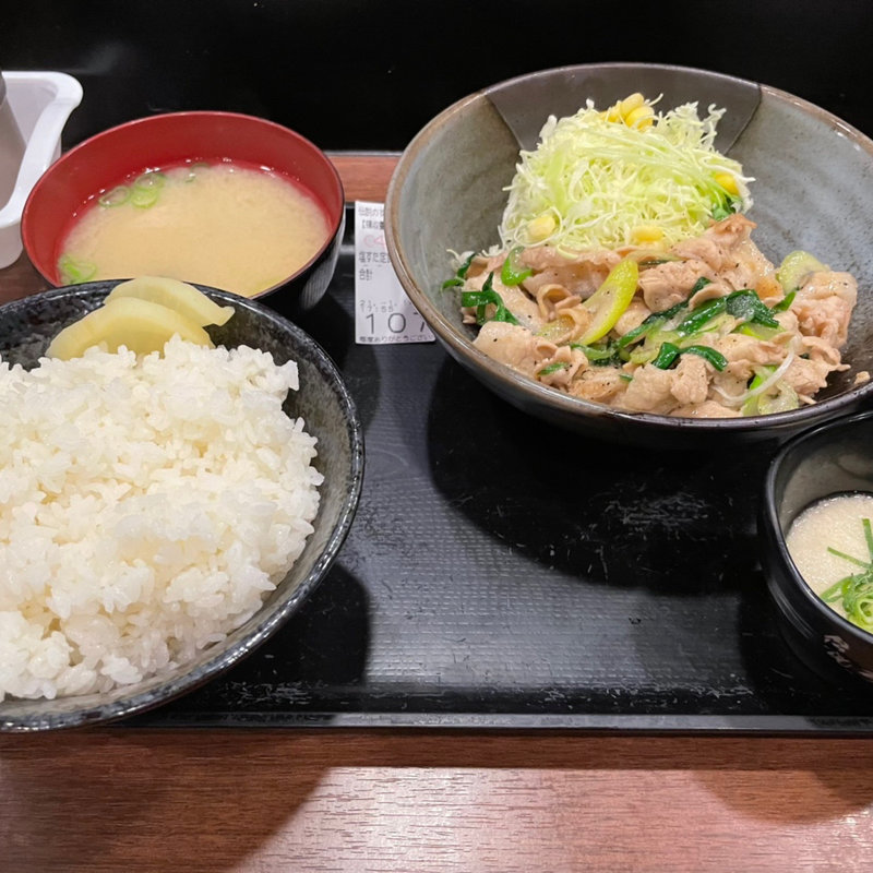 塩すたみな焼き定食肉増し(伝説のすた丼屋宇都宮陽南店)