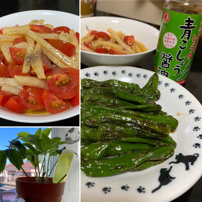 獅子唐素焼き(自宅)