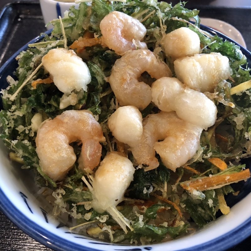 かき揚げ丼(天新)