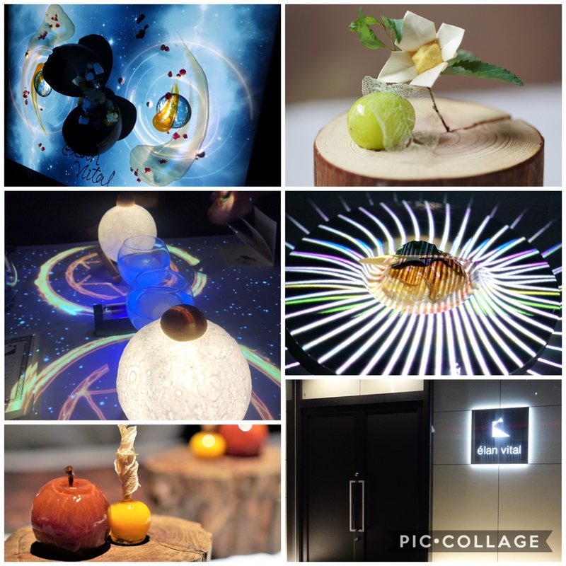 お任せコース(élan vital)