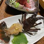 (網元民宿 はまゆ)