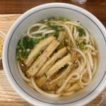 ごぼう天うどん