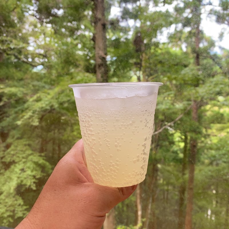 ゆずサイダー(コモレビ)