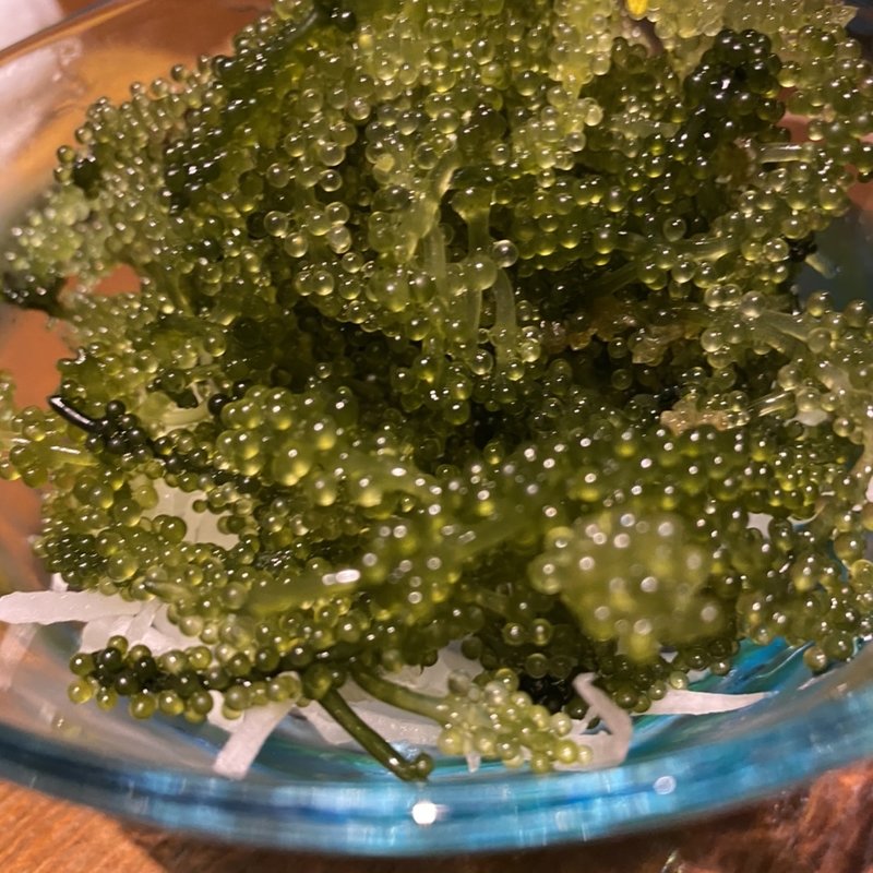 海ぶどう(ぱいかじ 新宿新南口店)