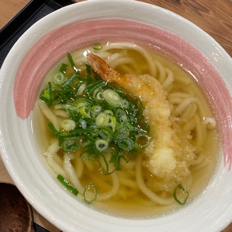 天ぷらうどん(とんかつ・うどん かつ辰 石津寝屋川店)