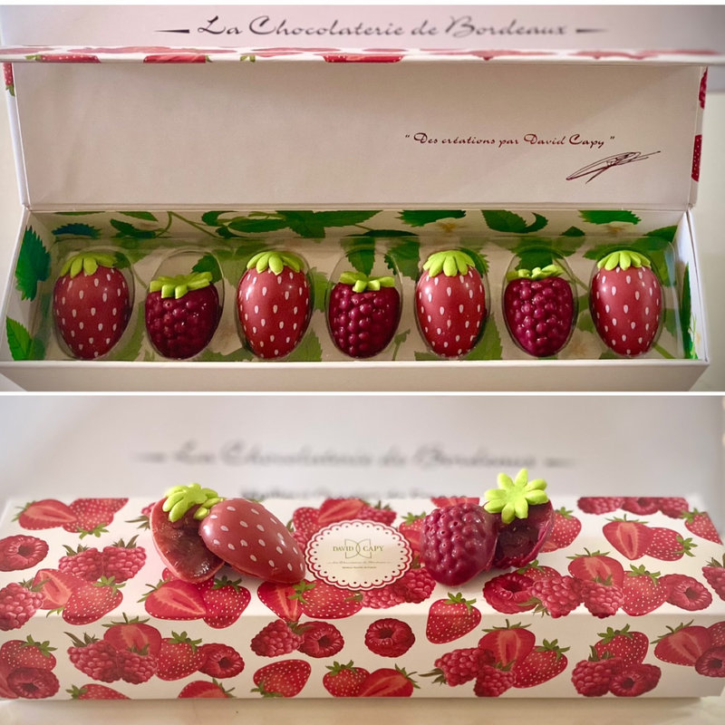 DAVID CAPY / アソートフレーズ フランボワーズ(サロン・ドゥ・ショコラ東京2021)