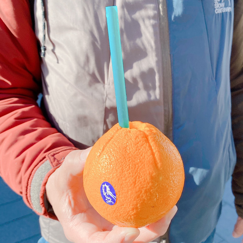 まるごと果汁　（オレンジ）(伊勢萬　屋台部)