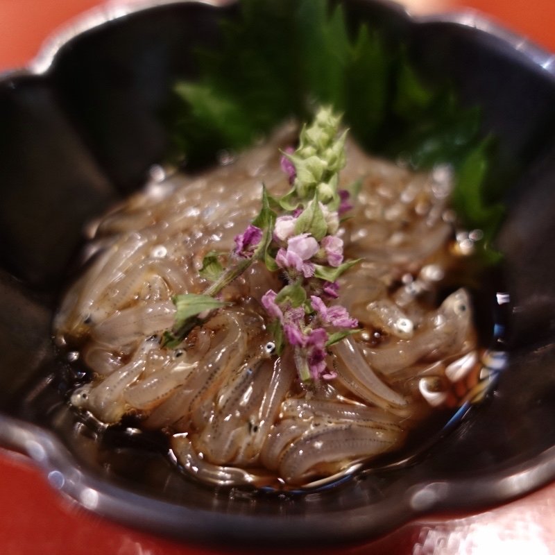 しらすの沖漬け(地魚と自然薯料理 海山)