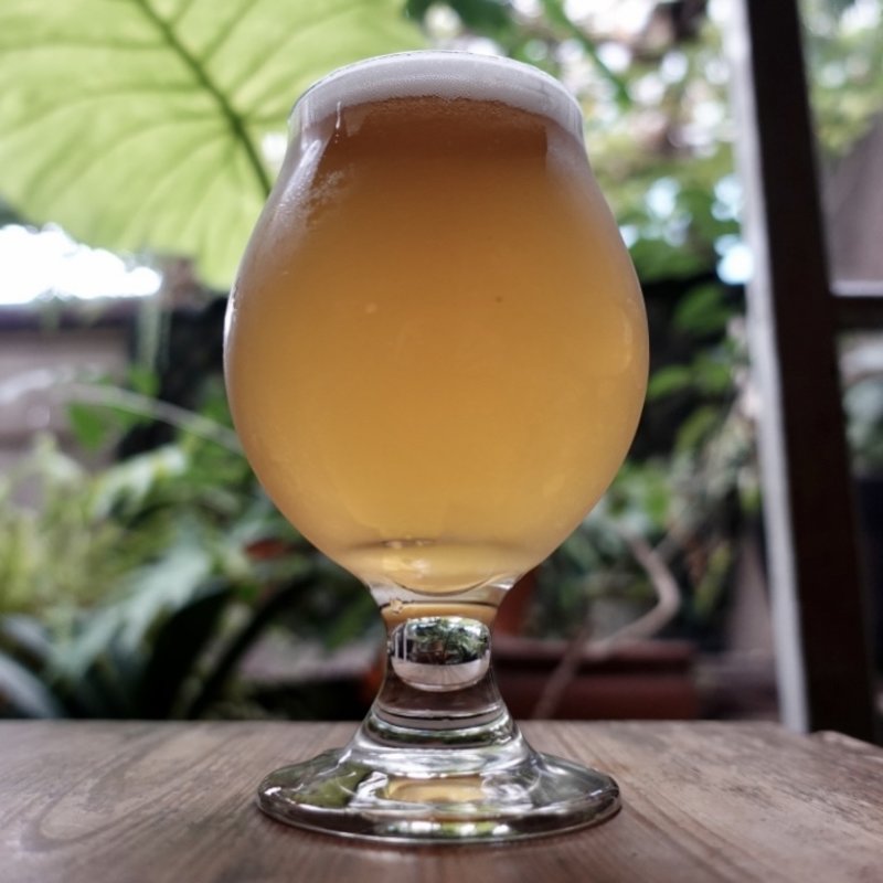 Yorocco Woody Smith Lager Bier(Beach Muffin)