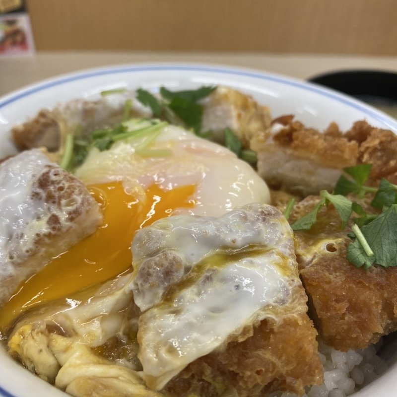 かつ丼(竹)(かつや 新橋店)
