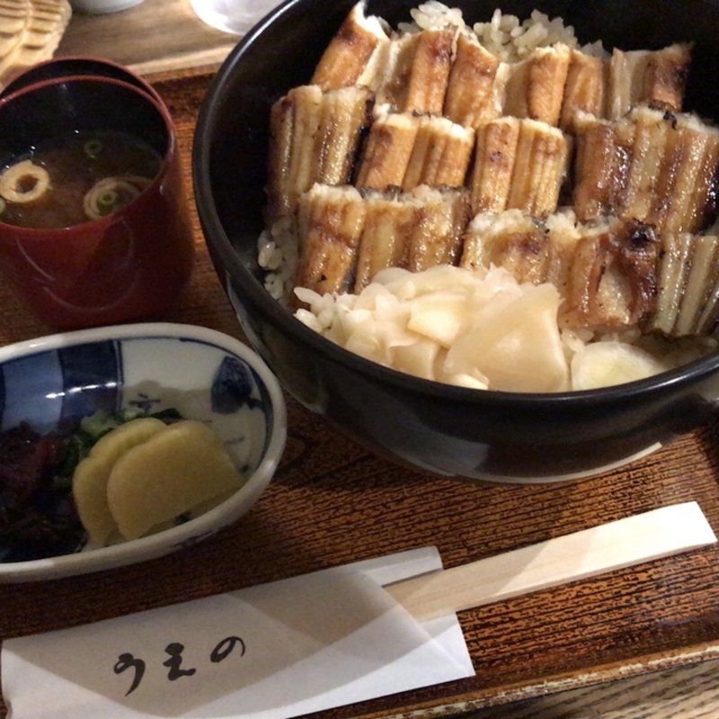 あなごめし(あなごめし　うえの　宮島口本店)