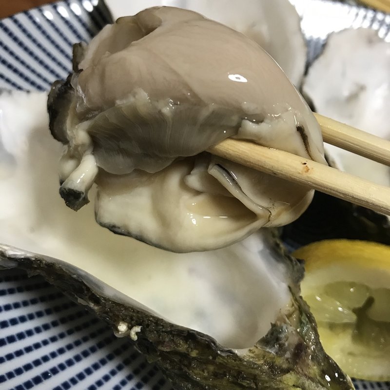 牡蠣(貝料理専門 はまぐり)